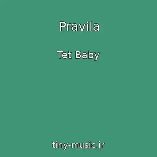 کاور آهنگ Pravila از Tet Baby