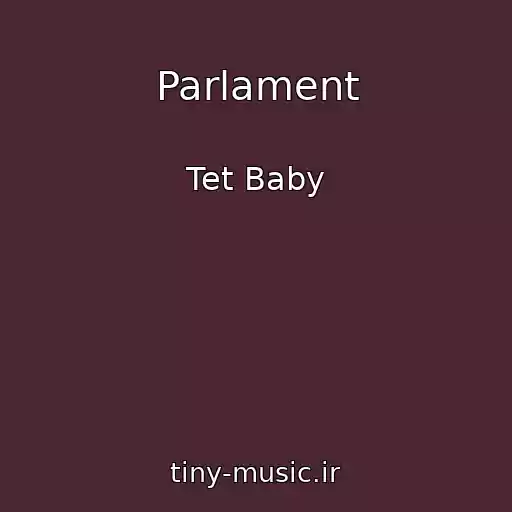 کاور آهنگ Parlament از Tet Baby