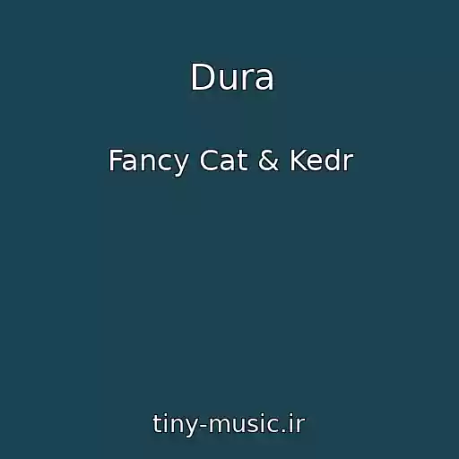 کاور آهنگ Dura از Fancy Cat & Kedr