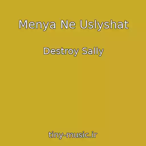 کاور آهنگ Menya Ne Uslyshat از Destroy Sally