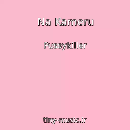 کاور آهنگ Na Kameru از Pussykiller