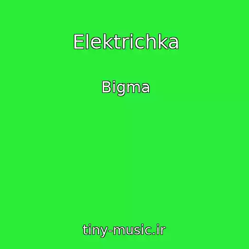 کاور آهنگ Elektrichka از Bigma
