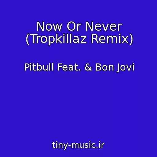 کاور آهنگ Now Or Never (Tropkillaz Remix) از Pitbull Feat. & Bon Jovi