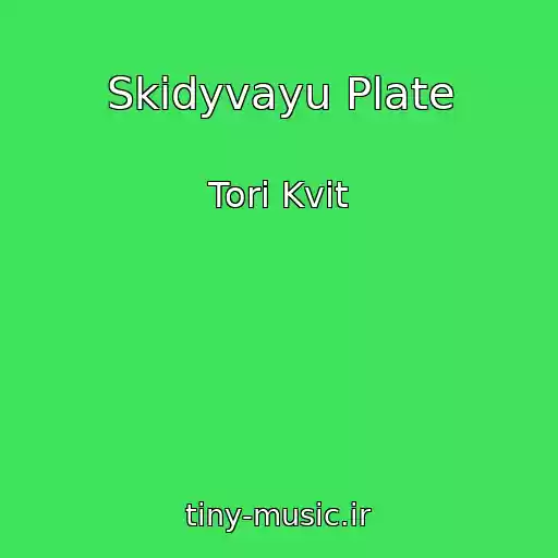 کاور آهنگ Skidyvayu Plate از Tori Kvit
