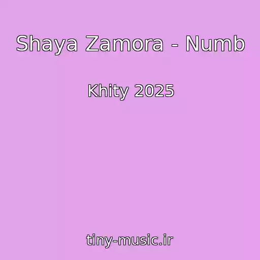 کاور آهنگ Shaya Zamora - Numb از Khity 2025
