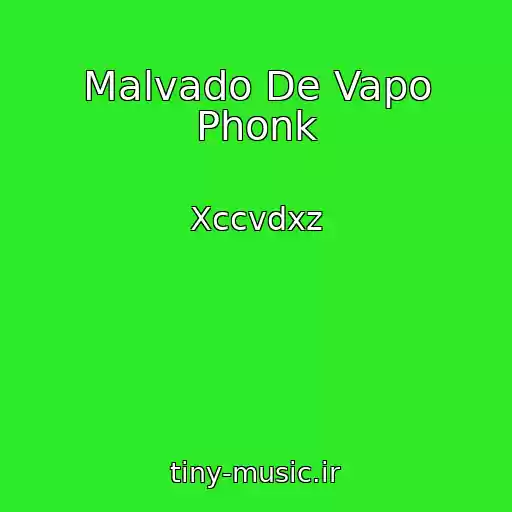 کاور آهنگ Malvado De Vapo Phonk از Xccvdxz