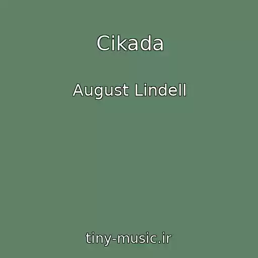کاور آهنگ Cikada از August Lindell