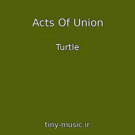 کاور آهنگ Acts Of Union از Turtle