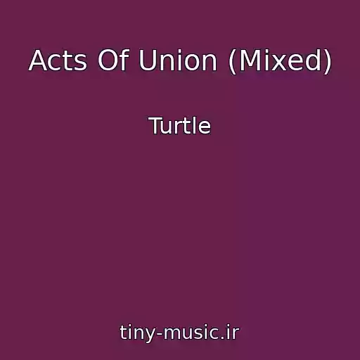 کاور آهنگ Acts Of Union (Mixed) از Turtle