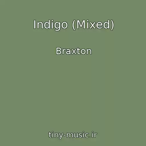 کاور آهنگ Indigo (Mixed) از Braxton