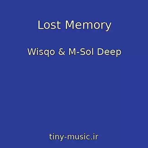 کاور آهنگ Lost Memory از Wisqo & M-Sol Deep