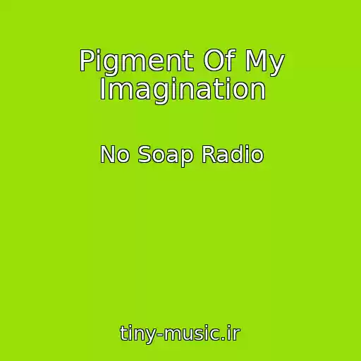 کاور آهنگ Pigment Of My Imagination از No Soap Radio
