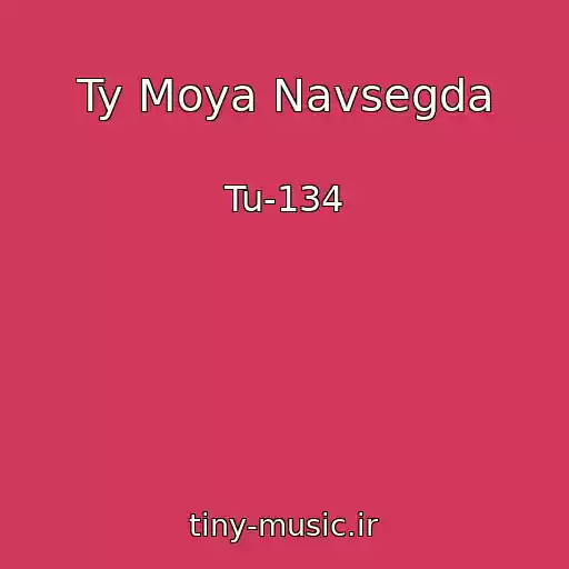 کاور آهنگ Ty Moya Navsegda از Tu-134