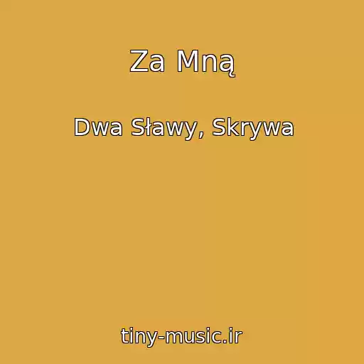 کاور آهنگ Za Mną از Dwa Sławy, Skrywa