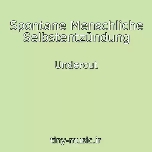 کاور آهنگ Spontane Menschliche Selbstentzündung از Undercut