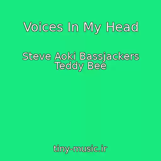 کاور آهنگ Voices In My Head از Steve Aoki Bassjackers Teddy Bee