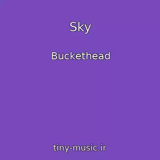 کاور آهنگ Sky از Buckethead