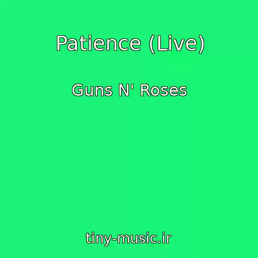 کاور آهنگ Patience (Live) از Guns N' Roses