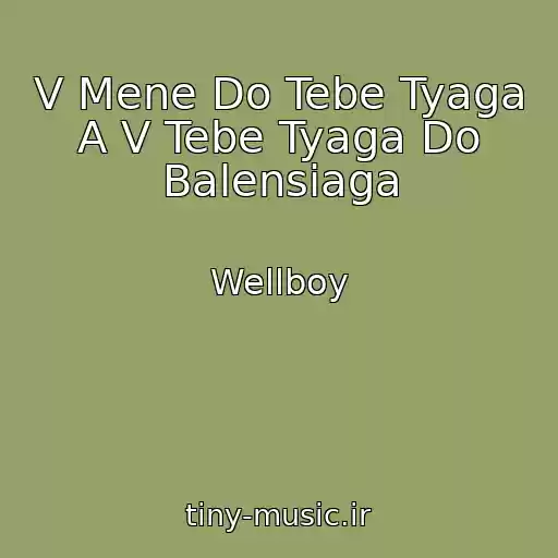 کاور آهنگ V Mene Do Tebe Tyaga A V Tebe Tyaga Do Balensіaga از Wellboy