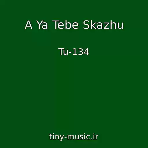 کاور آهنگ A Ya Tebe Skazhu از Tu-134