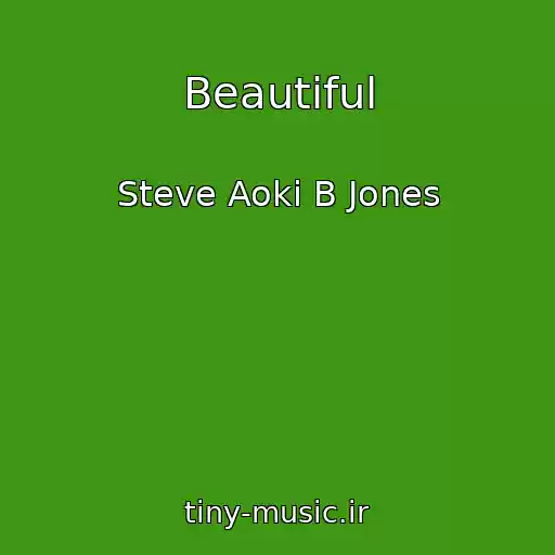 کاور آهنگ Beautiful از Steve Aoki B Jones