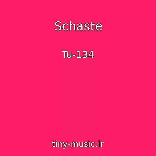 کاور آهنگ Schaste از Tu-134