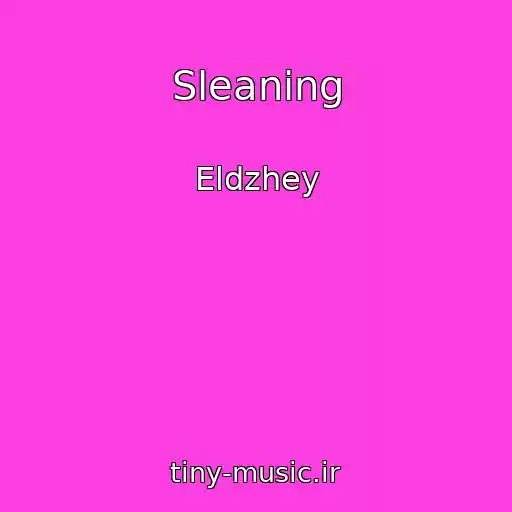 کاور آهنگ Sleaning از Eldzhey