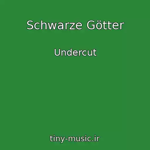 کاور آهنگ Schwarze Götter از Undercut