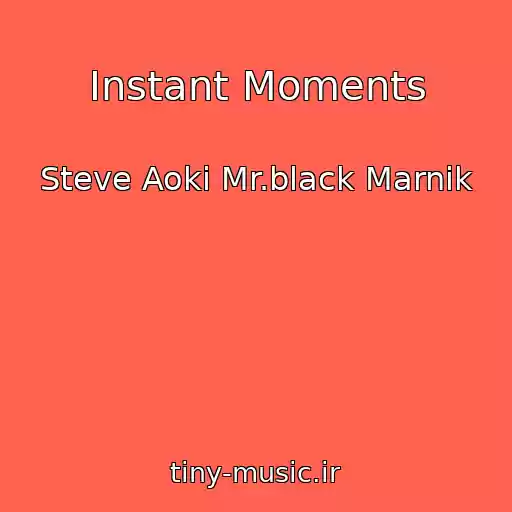 کاور آهنگ Instant Moments از Steve Aoki Mr.black Marnik