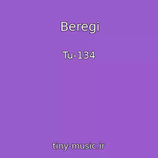 کاور آهنگ Beregi از Tu-134