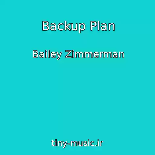 کاور آهنگ Backup Plan از Bailey Zimmerman