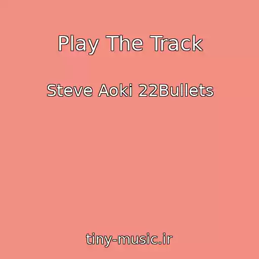 کاور آهنگ Play The Track از Steve Aoki 22Bullets