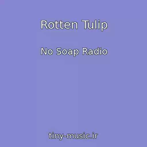 کاور آهنگ Rotten Tulip از No Soap Radio