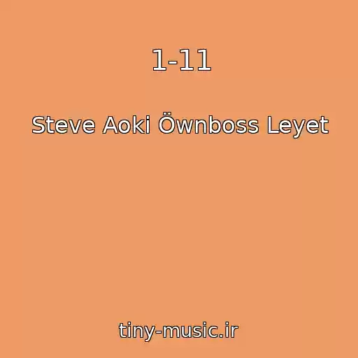 کاور آهنگ 1-11 از Steve Aoki Öwnboss Leyet