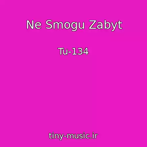 کاور آهنگ Ne Smogu Zabyt از Tu-134