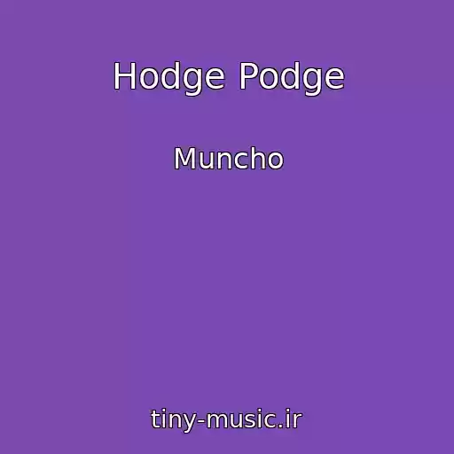 کاور آهنگ Hodge Podge از Muncho