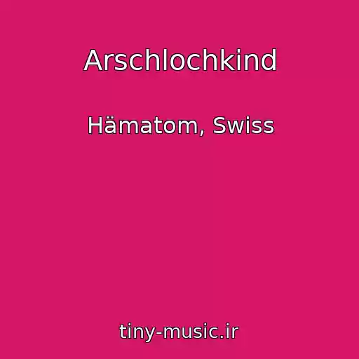کاور آهنگ Arschlochkind از Hämatom, Swiss