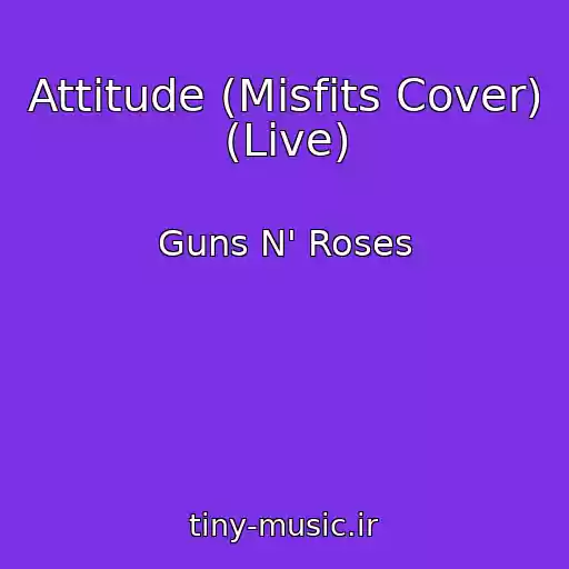 کاور آهنگ Attitude (Misfits Cover) (Live) از Guns N' Roses