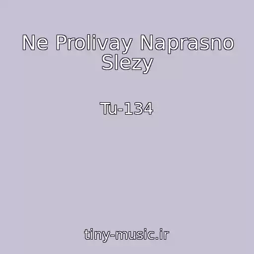 کاور آهنگ Ne Prolivay Naprasno Slezy از Tu-134