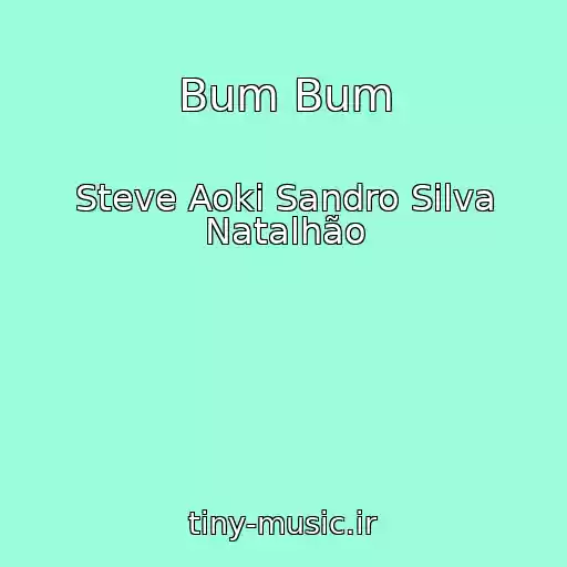 کاور آهنگ Bum Bum از Steve Aoki Sandro Silva Natalhão