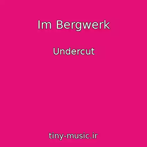 کاور آهنگ Im Bergwerk از Undercut