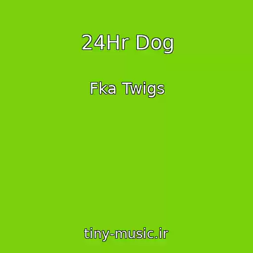 کاور آهنگ 24Hr Dog از Fka Twigs