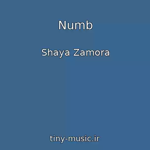 کاور آهنگ Numb از Shaya Zamora