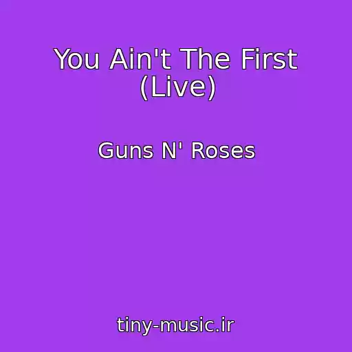 کاور آهنگ You Ain't The First (Live) از Guns N' Roses
