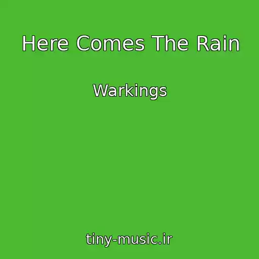 کاور آهنگ Here Comes The Rain از Warkings