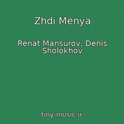 کاور آهنگ Zhdi Menya از Renat Mansurov, Denis Sholokhov