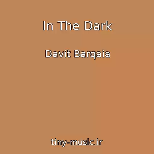 کاور آهنگ In The Dark از Davit Barqaia