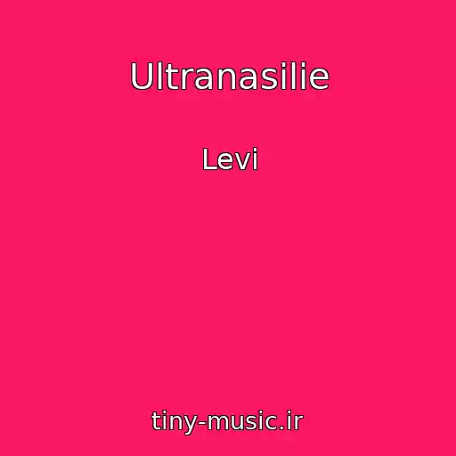 کاور آهنگ Ultranasilie از Levi
