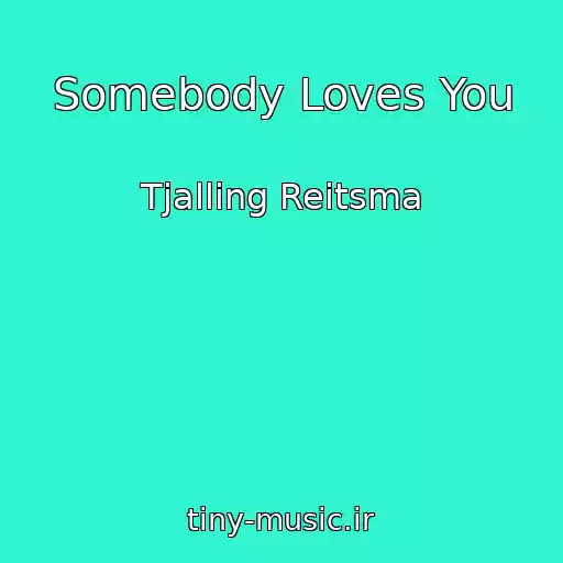 کاور آهنگ Somebody Loves You از Tjalling Reitsma