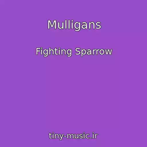 کاور آهنگ Mulligans از Fighting Sparrow